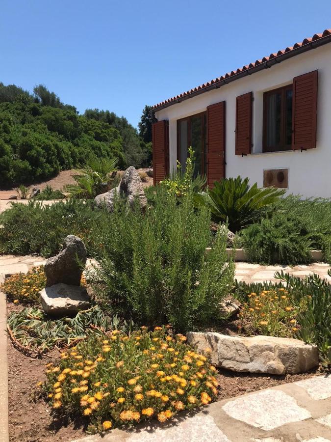 Villa La Piana Bassacutena Esterno foto
