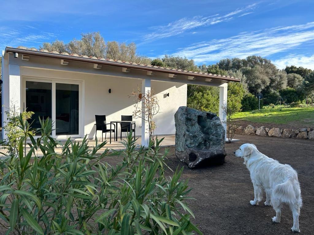 Villa La Piana Bassacutena Esterno foto