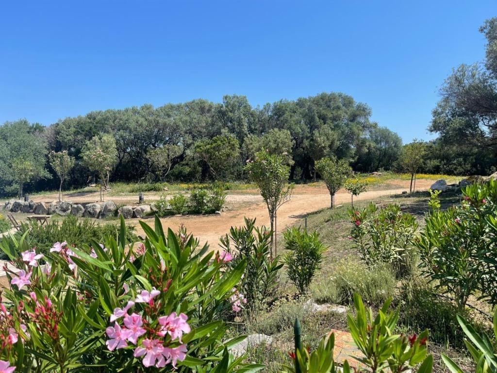 Villa La Piana Bassacutena Esterno foto