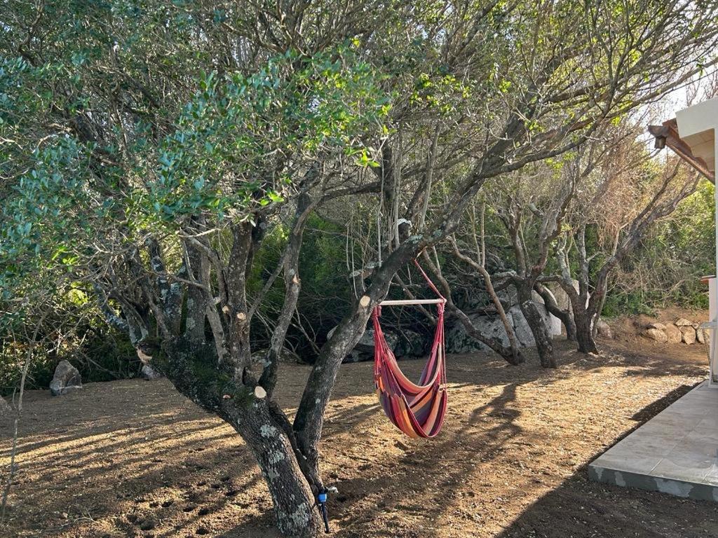 Villa La Piana Bassacutena Esterno foto