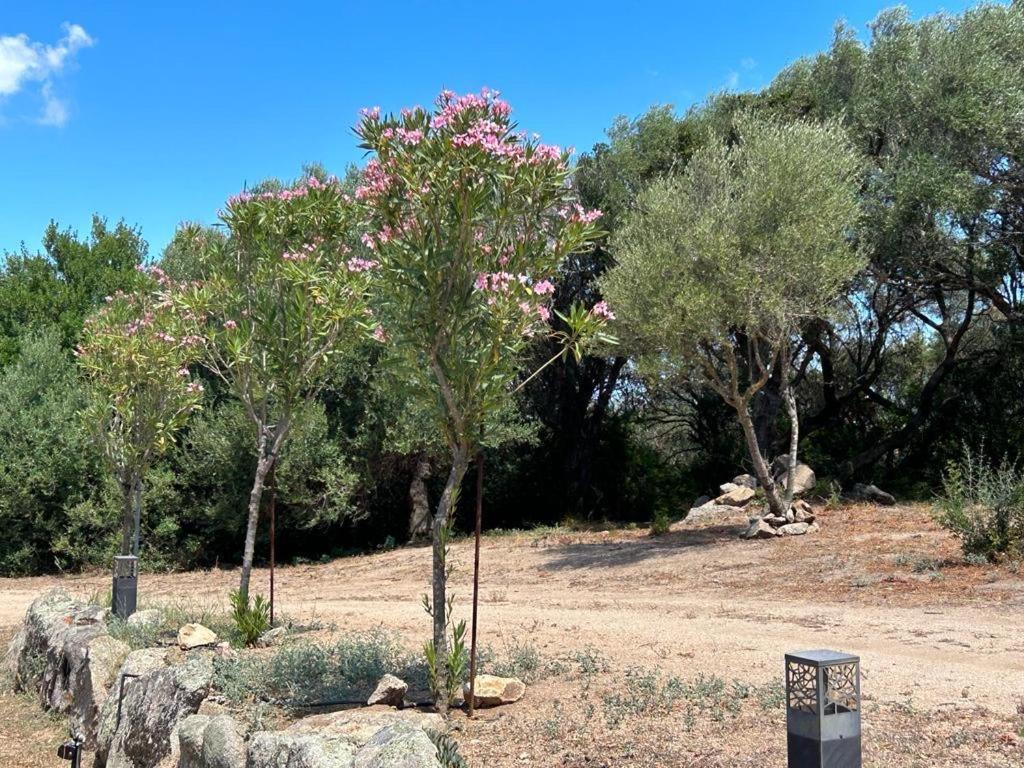 Villa La Piana Bassacutena Esterno foto