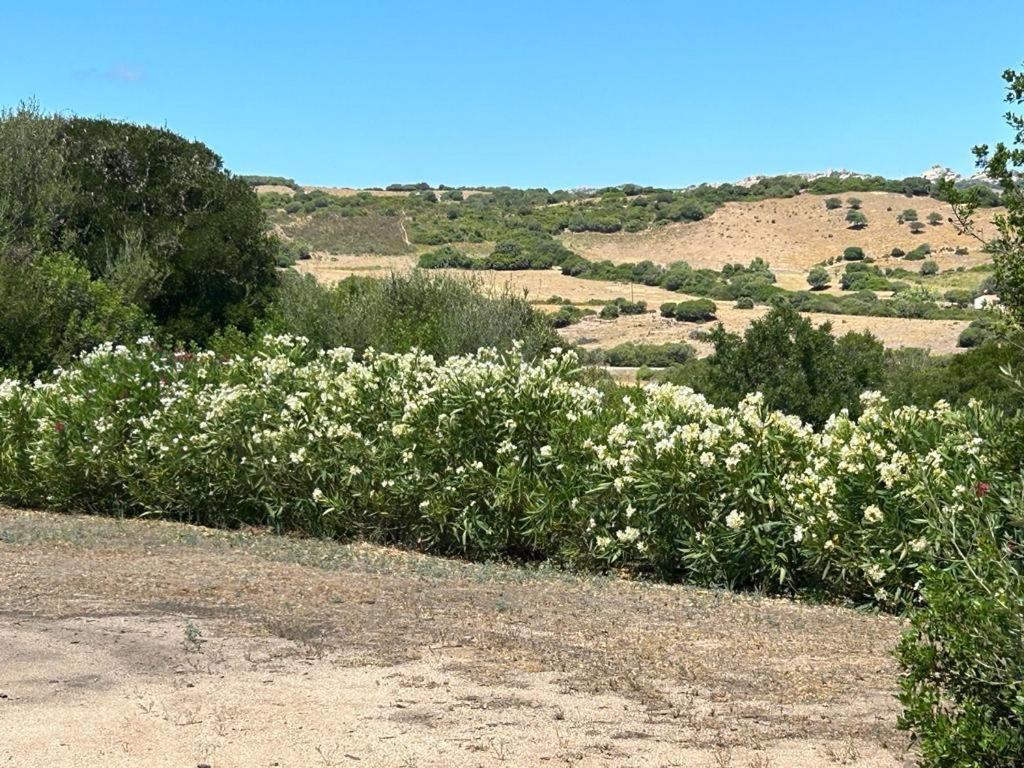Villa La Piana Bassacutena Esterno foto